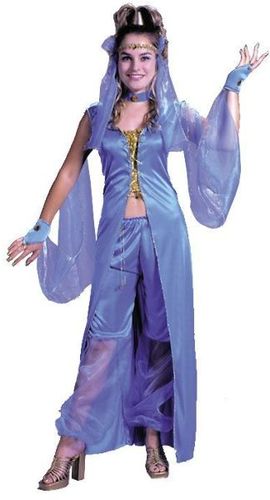 Dreamy Genie Women's Plus Size Costume