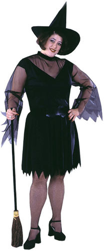 Feather Witch Women's Plus Size Costume