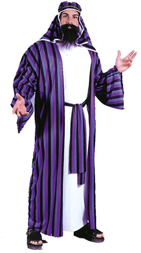 Chic Sheik Men's Plus Size Costume