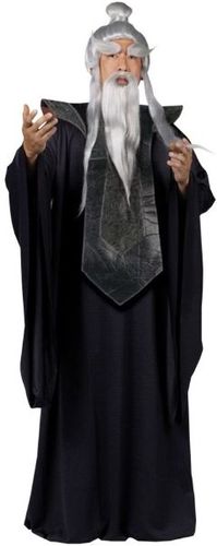 Sensei Master Men's Costume- One Size