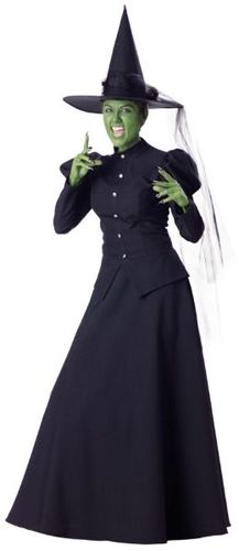 Women's Costume: Wicked Witch- Extra Large