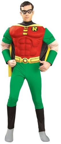 Robin Costume - Adult Medium