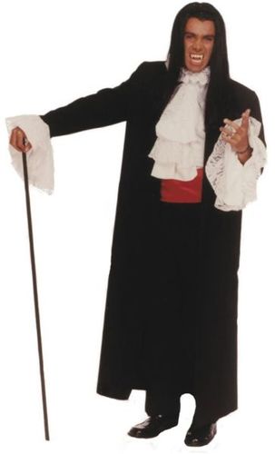 Count Damon Costume