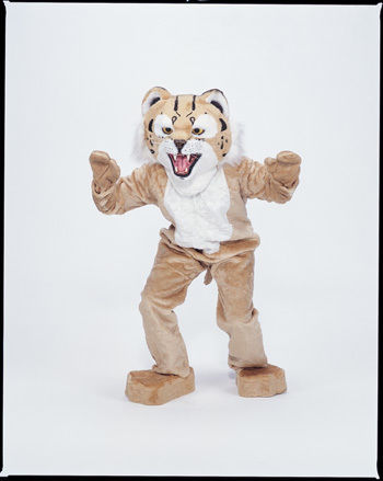 Bobcat Mascot Complete