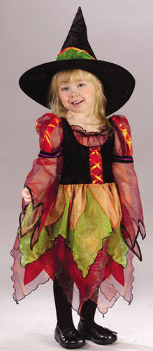 Fairy Witch Toddler 3T 4T