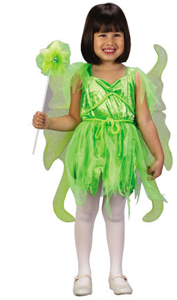 Fairy Neverland Toddler 3T 4T