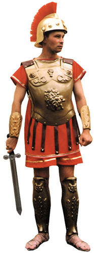 Roman Armor Gold Wash Men's Costume- One Size