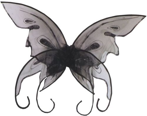 Wings Butterfly Black