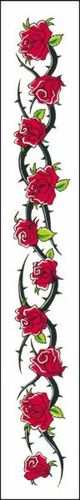 Tattoo Roses Armband Case Pack 2