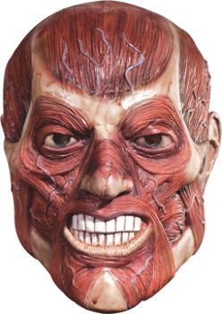 Skinner Mask