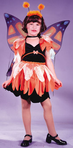 Butterfly Costume Child Large