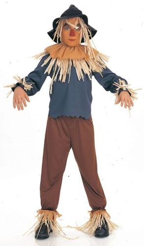 Wiz Of Oz Scarecrow Child Large