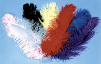 Ostrich Plumes Blue Jumbo