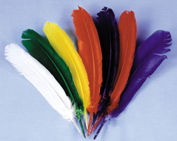 Indian Feathers Orange Case Pack 6