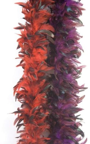 Boa Deluxe 6Ft Purple