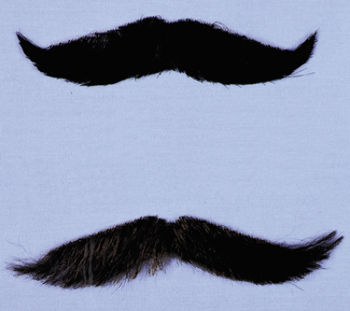 Mustache Eng Style Dark Brown