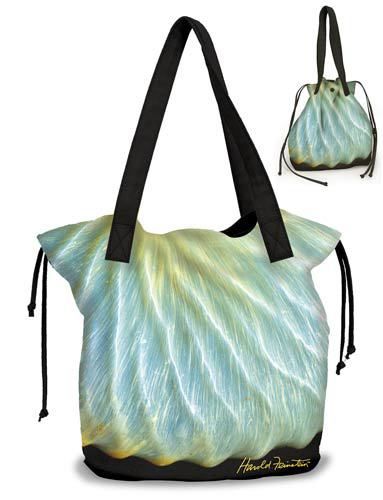 Cinch Tote Bag Nautilus Shell Case Pack 2