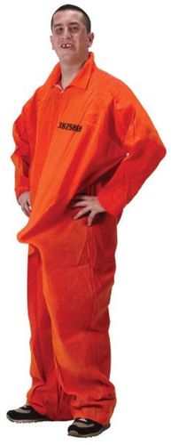 Dept of Erections Men's Costume- Standard