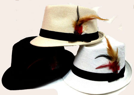 Fedora Hats With Feathers - Assorted Colors Case Pack 24