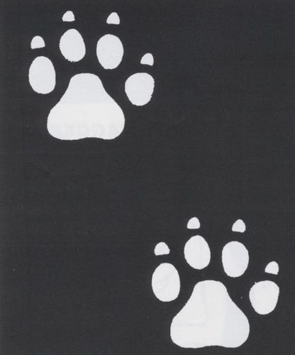 Stencil Paw 4 No Claw Plastic