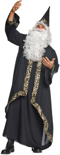 Sorcerer Men's Costume- Standard