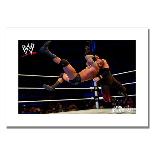 Officially Licensed WWE Randy Orton Print