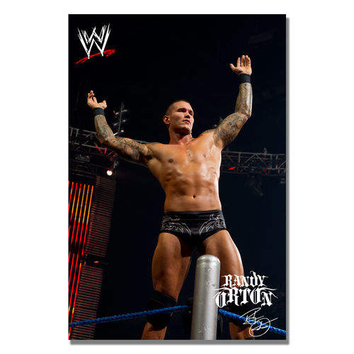 Offically Licensed WWE Randy Orton Canvas