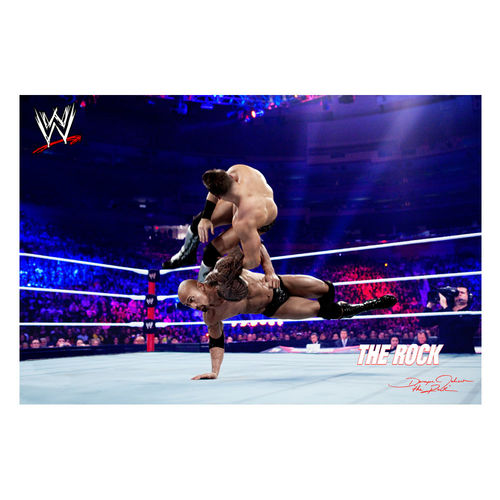 Officially Licensed WWE The Rock Canvas