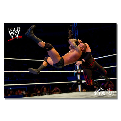 Officially Licensed WWE Randy Orton Canvas