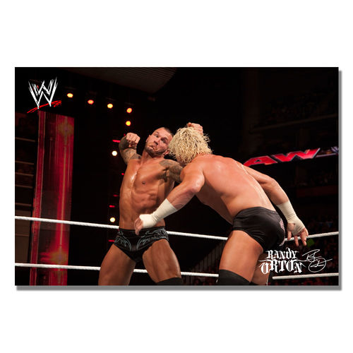 Officially Licensed WWE Randy Orton Canvas