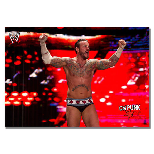 Officially Licensed WWE CM Punk Canvas