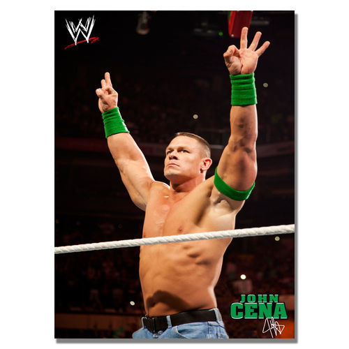 Officially Licensed WWE John Cena Canvas