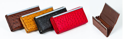 Ladies Fashion Wallets- Red,Black,Yellow,Brown Case Pack 12