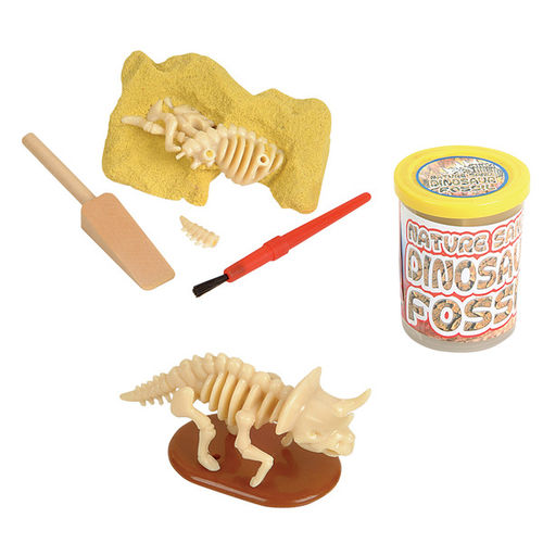 3"" Dinosaur Fossil Case Pack 12