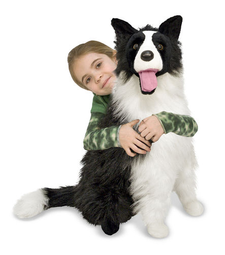 Border Collie - Plush Dog