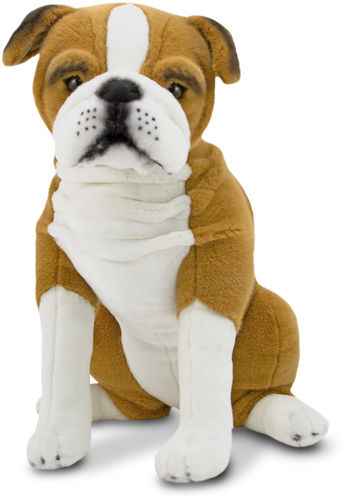 English Bulldog - Plush Dog