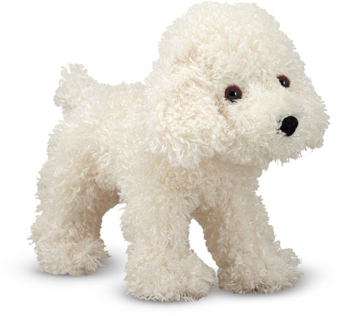 Fluffy Bichon Frise