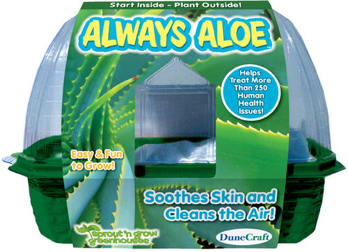 Always Aloe Case Pack 12