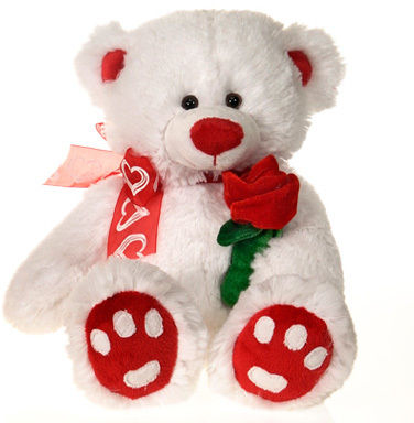 14"" White Cuddle B/B Bear Holding Rose Case Pack 12