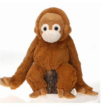 12"" Cuddle Baby Orangutan Case Pack 24