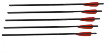 5 Pack of 22"" Arrows w/ /Field Point