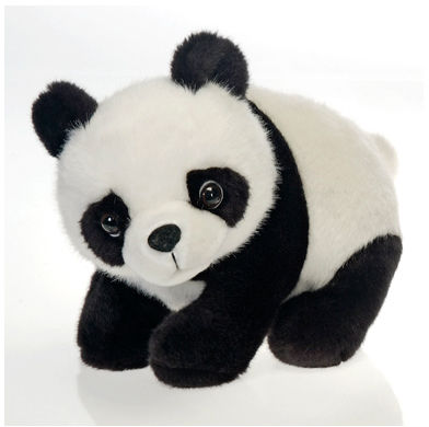 10"" Panda Case Pack 12