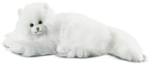 Flossie White Cat