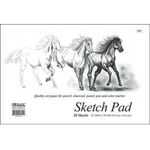 BAZIC 20 Ct. 18"" X 12"" Premium Sketch Pad Case Pack 48