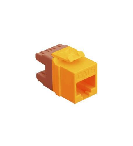 MODULE, CAT 6, HD, ORANGE