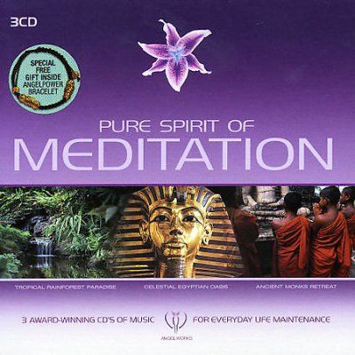 PURE SPIRIT OF MEDITATION