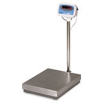 300 lb. Capacity Bench/Floor Scale