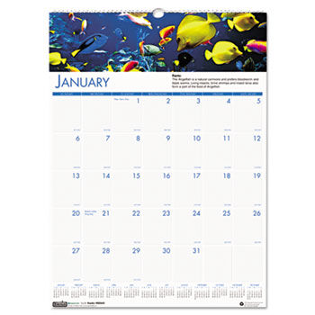 Sea Life Scenes Monthly Wall Calendar, 12 x 16-1/2, 2014