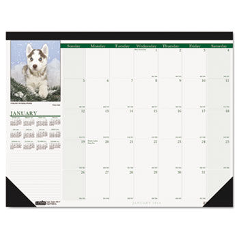 Puppies Photographic Monthly Desk Pad Calendar, 18-1/2 x 13, 2014