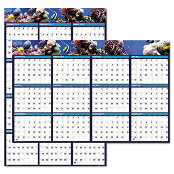 Earthscapes Sea Life Scenes Reversible/Erasable Wall Calendar, 24 x 37, 2014